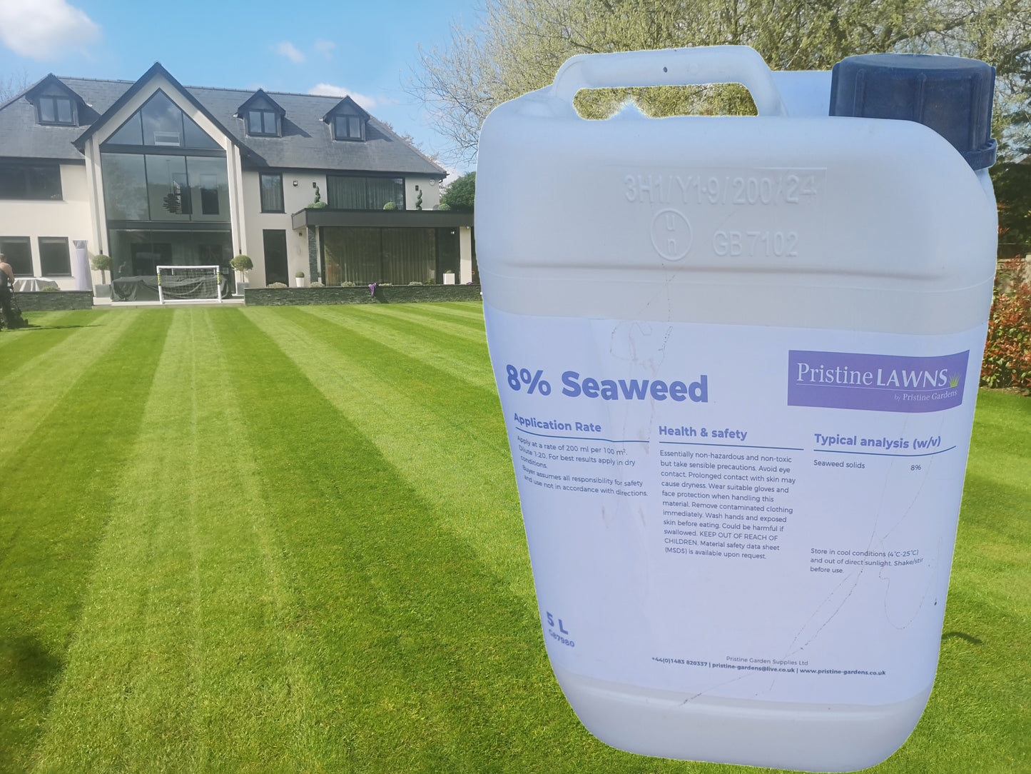 11. Seaweed Extract