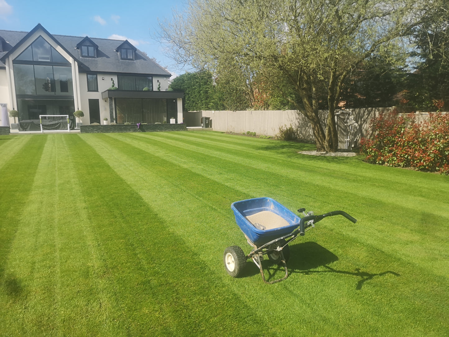 Re-Charge Summer Lawn Feed