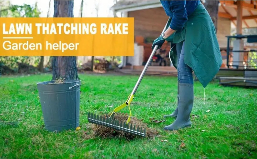 Thatch/Moss Removal Rake
