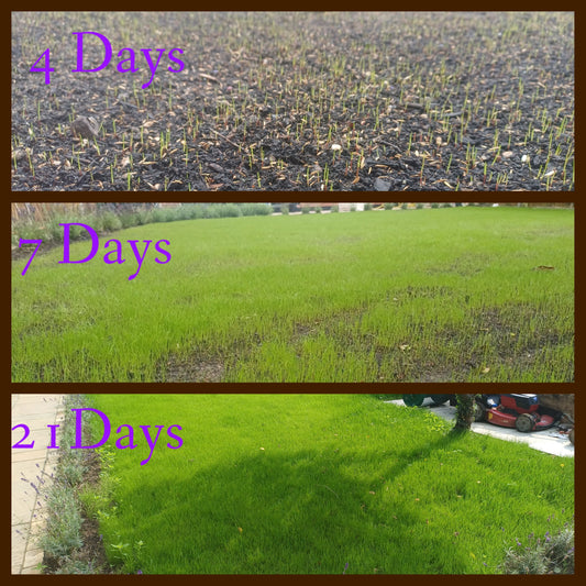 Super Start Pre-Seed and Turf Fertiliser