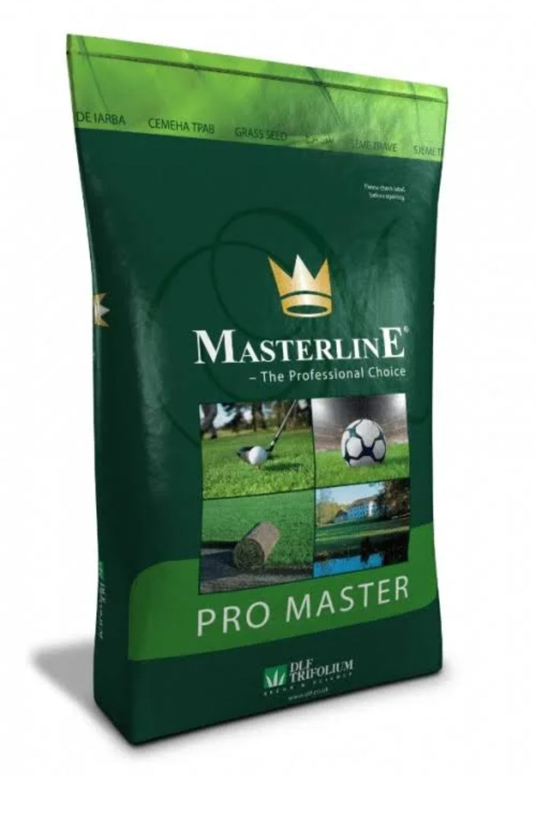 DLF PM60 Greenshade Shade Tolerant Grass Seed