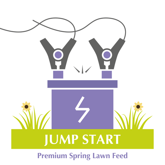Jump Start Spring Lawn Feed