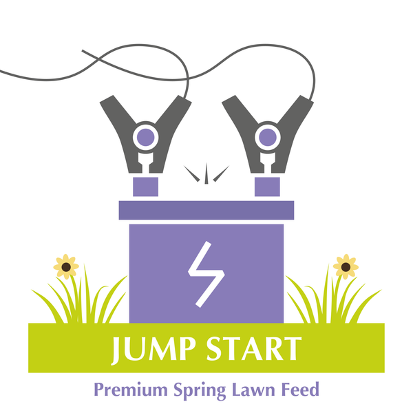 Jump Start Spring Lawn Feed