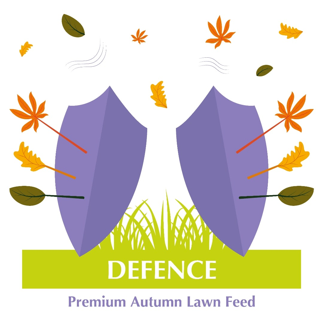 Defence- Autumn Lawn Feed