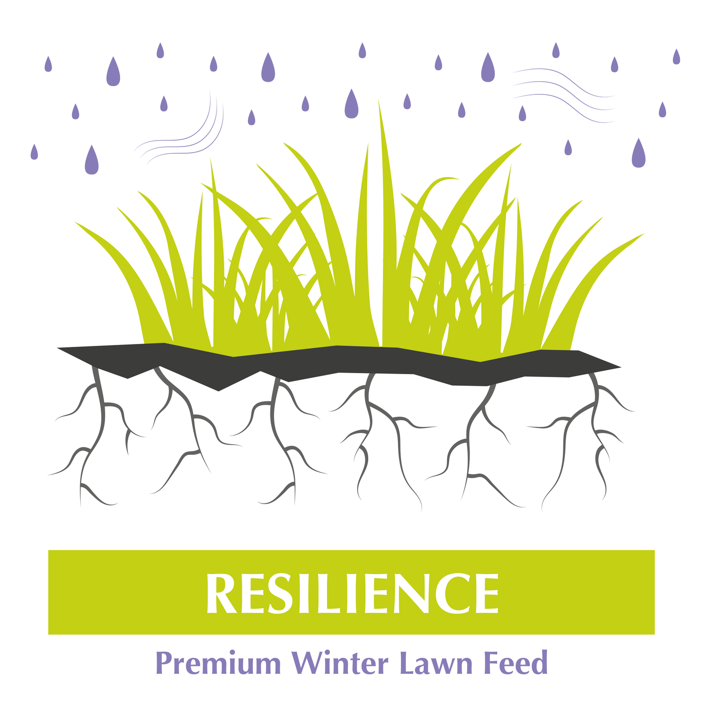 Resilience -Autumn/Winter Lawn Feed