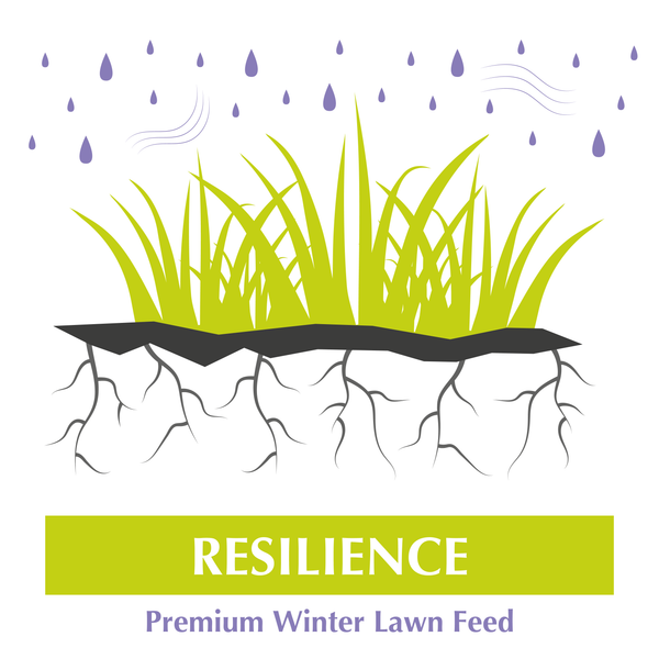 Resilience -Autumn/Winter Lawn Feed
